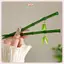 JRP 2024 Mới Phong Cách Trung Hoa Nhựa Xanh Lá Tre Tóc Sti Cho Nữ Cô Gái Vintage Acrylic Chopsti Kẹp Tóc Phụ Kiện Tóc JRP