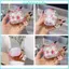 Ốp Silicon GODD Cho Tai Nghe Vỏ Bảo Vệ Thân Thể Silicon Mềm Vỏ Tai Nghe Tay Áo Thay Thế