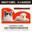 Gối Hình Đặc Biệt Hoạt Hình Tùy Chỉnh Hàng Hóa Văn Hóa Sáng Tạo Q Phiên Bản Avatar Bộ Hoàn Chỉnh Thiết Kế Miễn Phí Gối Vải Búp Bê