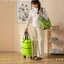 Mới Có Thể Gập Lại Vải Oxford Túi Mua Sắm Có Bánh Xe Chống Thấm Nước Di Động Tạp Hóa Túi Tote Hộ Gia Đình Có Thể Tái Sử Dụng Lưu Trữ Túi Xách
