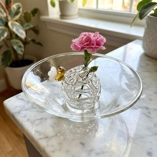 Bình bi thủy tinh nhỏ NEDFSQM, Bình hoa thủy canh truyền cảm hứng Zen trong suốt, Chậu trồng cây Hình con ong độc đáo với bình cắm hoa đế Bàn làm việc văn phòng