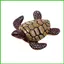 Nhà búp bê thu nhỏ Đồ đi biển DIY Cảnh bên bờ biển Đồ trang trí nhà búp bê Mini Zen Garden Trang trí bãi biển saixit2vn