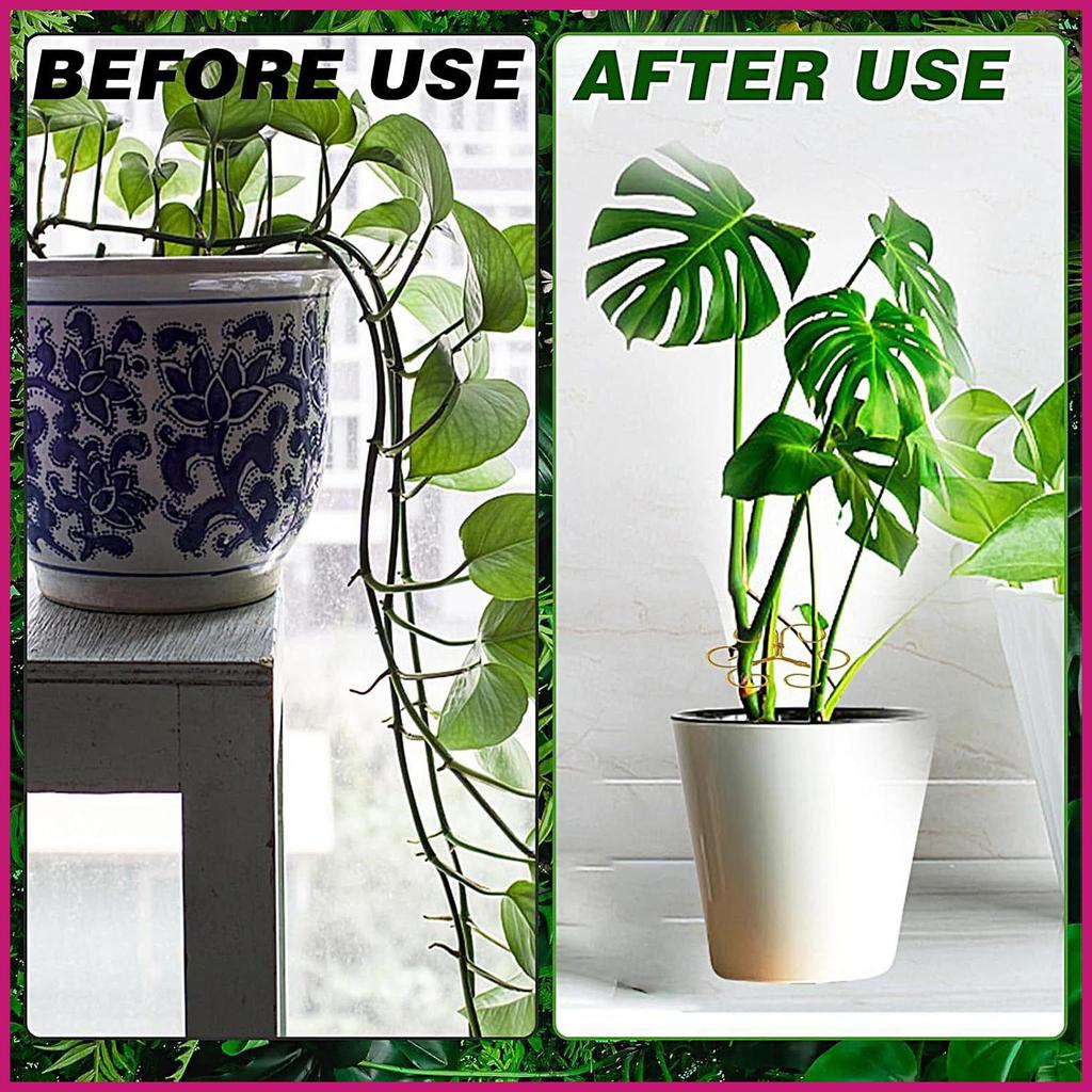Monstera Hỗ Trợ 4 Miếng Kim Loại Hoa Cổ Phần Hình Monstera Hỗ Trợ Cây Cho Nhà Kính Sân Sau Bãi Cỏ shopidaevn