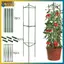 BVY DIY Plant Hỗ trợ khung trồng rau Cà chua Cột thép phủ nhựa 80 / 120 / 160cm Chiều cao 11mm Thi Plant cọc.