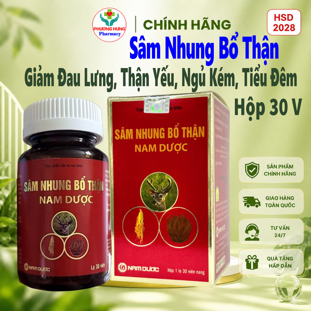 Sâm Nhung Bổ Thận Nam Dược Giúp Giảm Đau Lưng, Mỏi Gối, Thận Yếu, Ngủ Kém, Tiểu Đêm- Hộp 30 Viên