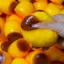 GILL Caramel Pudding Căng Thẳng Bóng Squishy, Mềm Mại Thực Tế Hình Pudding Đồ Chơi Phục Hồi Chậm, Dễ Thương Handmade Lo Âu Giảm Chậm Rebound Caramel Pudding Fidget Đồ Chơi Văn Phòng