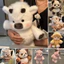 < Pluscloth > 17.7 Búp bê chạy bộ sang trọng mềm mại – Đồ chơi nhồi bông lông tơ dễ thương dành cho trẻ em Người lớn Gối đầu giường Đệm Sofa Trang trí vườn ươm Quà tặng hoàn hảo cho người mua Đông Nam Á Nhồi bông lông tơ