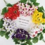 {WELV}Artificial Morning Glory Lifelike Design Details Vibrant Color Retention