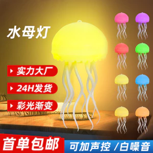 Thạch Ánh Sáng Trắng Tiếng Ồn Ngủ Nhạc Cụ Đèn Ngủ Nhiều Màu Sắc Thông Minh Điều Khiển Giọng Nói Sáng Tạo Khí Quyển Ánh Sáng Mặt Dây Chuyền Không Khí 6AA4