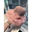 🔥 có hàng sẵn 🔥 Mũ đi biển thời trang Mũ vành lớn Organza Nơ Người Cá Mũ Xuân Hè Du Lịch Ngoài Trời Đi Biển Chống Nắng UV Ống Hút Nữ