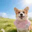 Hoạt Hình Mùa Xuân Nước Bọt Khăn Corgi Border Shepherd Yếm Khăn Mới Dễ Thương Tròn Nhỏ Vừa Chó Lớn