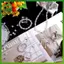 SWEET DIY Lấp Lánh Hạt Pha Lê Kích Thước Hỗn Hợp Màu Sắc Ánh Sáng Đá Quý Cho Vòng Tay Nelace Handmade Trang Sức Làm Đồ Dùng n