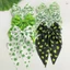 HJF815 Clover In Nơ Ruy Băng Mùa Xuân Tóc Cho Nữ