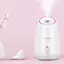 Trái Cây Thảo Dược Mặt Hấp Làm Sạch Sâu Da Mặt Thiết Bị Làm Sạch Nano Mist Hydration Facial Spa Dành Cho Nữ