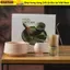 SNUGHOUSE 4 Máy đánh trứng Matcha Nhật Bản, Bộ trà Matcha truyền thống bằng gốm tre, Bộ trà thìa cà phê có thể tái sử dụng Dụng cụ làm trà