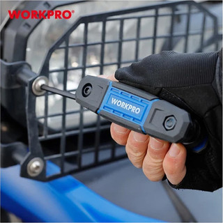 Bộ Lục Giác, Hoa Thị Xếp Nhiều Chi Tiết Bằng Thép CR-V WORKPRO WP222028 WP222030 WP222032 WP222033