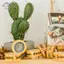 HFTOY Sáng Tạo Cần Câu Rune Giấy Băng Tear Seal Băng Trang Trí Cane Stier Thủ Công DIY Băng Washi Gói Quà Tạp Chí Vintage ~