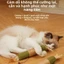 Đồ chơi cho mèo Mutian Polygonum Tự làm bánh răng hàm trêu chọc Cat Stick Làm sạch răng Làm sạch đồ dùng cho thú cưng chống cắn Siêu lớn Catnip Stick