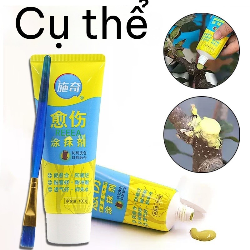 Keo Liền Sẹo Cho Cây 100g/500g Kèm Cọ Bôi Keo Liền Da Cây Bảo Vệ Vết Cắt Sau Cắt Tỉa Ghép Cành