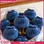 XUAN Innocent Blueberry Doll Sang Trọng Móc Khóa Đồ Chơi Nhồi Bông Dễ Thương Mô Phỏng Túi Quyến Rũ Cho Bé Gái Xe Bapa Quà Tặng Và Trang Trí VN
