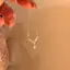 HNKMP Shinny Kim Cương Giả sel Nelace Ins Light Sang Trọng Đơn Giản Phù Hợp Với Tính Khí Nelace Tinh Tế Xương Đòn Dây Chuyền Trang Sức Cô Gái.