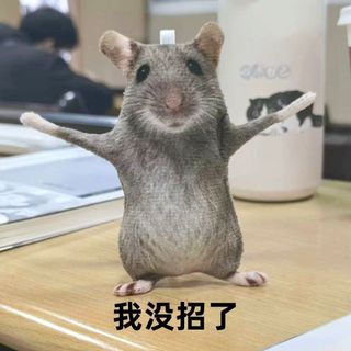 Móc Treo Chuột Khô Giả Lập Naha – Thú Bông Hài Hước Có Khung Xương Tạo Dáng, Treo Balo Túi Xách, Đồ Chơi Troll Bạn Bè