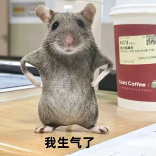 Móc Treo Chuột Khô Giả Lập Naha – Thú Bông Hài Hước Có Khung Xương Tạo Dáng, Treo Balo Túi Xách, Đồ Chơi Troll Bạn Bè