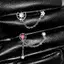 Nhíp 1 Cái / 1 Bộ Chó Con Dễ Thương Paw Zircon Bướm Xương Tai Móng Tay Thời Trang Mới Trang Sức Tai Phong Cách Sang Trọng Cho Nữ Bông Tai Y2K Tặng VN