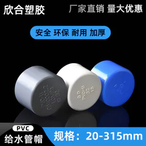 PVC Cấp Nước Nắp Ống 20 25 32 Trên Ống Nước Cắm Nắp PVC Cắm Đầu Nhồi Bông Nhựa 50 75 90 110mm