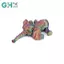 GHX Dễ Thương PLA 3D In Hình Voi Mô Hình Kawaii Để Bàn Trang Trí Hoạt Hình Di Chuyển Được Mô Hình Đồ Chơi Trẻ Em Bộ Sưu Tập Sáng Tạo Đồ Chơi Quà Tặng VN