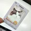 Phim ngược trong suốt Polaroid Ngôi sao Anime Photocard Buổi hòa nhạc mùa tốt nghiệp 6.2