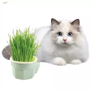 Máy trồng hộp cỏ cho mèo ZENZON, Bộ trồng cây Microgreens thiết kế phân cấp thủy canh, thúc đẩy tiêu hóa Dễ dàng phát triển Chậu trồng cỏ cho mèo có thể tháo rời Hộp trồng cây không đất trong vườn