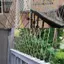 Chim Repeller Chim Pigeon Spikes Anti Bird Anti Pigeon Spike For Get Rid [VN]