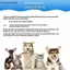 AA Pet Dog Tông Đơ Cắt Tóc Với 2 des Chải Lông Dao Cạo Làm Mỏng Chó Catbs Chó Mèo Tẩy Tóc Chải Tóc VN