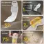 AIHOM Patellar Tendon Hỗ trợ Dây đeo 2 chiếc Nẹp đầu gối Dây đeo có thể điều chỉnh để giảm đau hiệu quả cho dây nhảy thể thao,