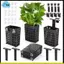 4 Chiếc Có Thể Điều Chỉnh Chiều Cao Cho Giá Đỡ Cây Bể Cá Có Móc Mở Rộng Và Cốc Hút Cho Bể Cá Và Cây Thủy Canh Màu Đen