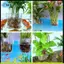 Trong Suốt Bể Cá Giá Đỡ Thực Vật 2 Gói Phù Hợp Với Lên Đến 0.8in Cạnh Bể Cá Treo Hàng Đầu Giá Đỡ Thực Vật