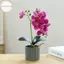 Houdou Lụa Bướm Phong Lan Hoa Nhân Tạo Cây Cảnh Phong Lan Phalaenopsis Chậu Hoa Nhà Trang Trí Đám Cưới Sắp Xếp Cây Giả VN