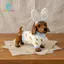 SiaBiced Dachshund Tượng Thỏ Theo Chủ Đề Ngày Lễ Chó Trong Thỏ Trang Phục Tượng Thiết Kế Dễ Thương Lễ Phục Sinh Dachshund Tượng Cho Để Bàn, Đồ Trang Trí