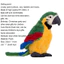 < Pluscloth > Đồ chơi sang trọng Họa tiết vẹt thoải mái PP Cotton Đồ trang trí đồ chơi sang trọng cho gia đình