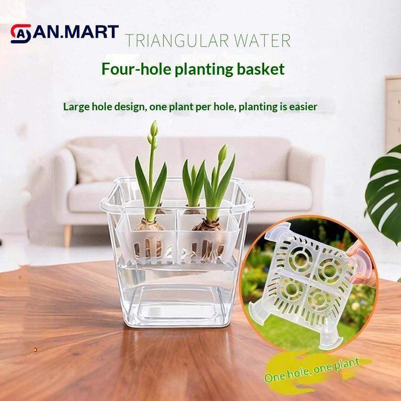 AN.MART Hộp Thủy Canh Có Giỏ Hỗ Trợ Thoáng Khí Hạt Hoa Tulip Chậu Hoa Thủy Canh 4 Lỗ Chậu Hoa Không Đất Trang Trí Nhà Cửa VN