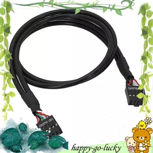 Cáp chuyển đổi USB 9Pin Nữ sang Nữ USB2.0 Dây kết nối 9Pins Dây cách ly Máy tính Bo mạch chủ Cáp âm thanh HD