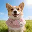 Hoạt Hình Mùa Xuân Nước Bọt Khăn Corgi Border Shepherd Yếm Khăn Mới Dễ Thương Tròn Nhỏ Vừa Chó Lớn