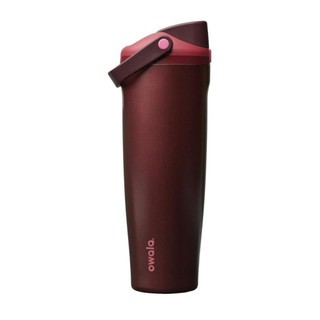 Owala FreeSip Sway Insulated Stainless Steel Water Bottle - 30 oz