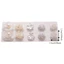 FUJIOU 10 Cái / bộ Bông Tai Camellia Nhân Tạo, Bông Tai Bông Tai Hoa Nhẹ Màu Trắng, Bộ Stud Tối Giản Tinh Tế Giả Ngọc Trai Làm Việc