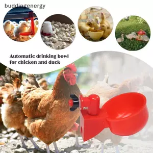 {BUDDI} 10 / 20 Chiếc Cốc Uống Chien Du Tự Động Uống Chien Ăn Gia Cầm Nhựa Trang Trại Cốc Uống Nước Dễ Dàng Lắp Đặt {buddingenergy}
