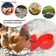 {BUDDI} 10 / 20 Chiếc Cốc Uống Chien Du Tự Động Uống Chien Ăn Gia Cầm Nhựa Trang Trại Cốc Uống Nước Dễ Dàng Lắp Đặt {buddingenergy}