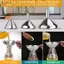 5 Phễu Inox Kim Loại, Bộ 3 Phễu Nhỏ Lớn, Phễu Mini Cấp Thực Phẩm Cho Nhà Bếp VN