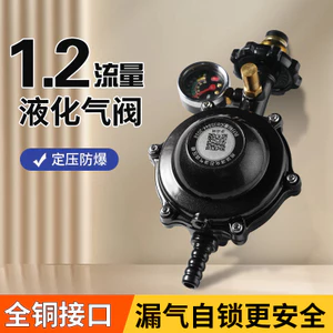 Hộ gia đình 1.2 Dòng chảy lớn Tiêu chuẩn quốc gia mới Khí hóa lỏng Chống cháy nổ Van giảm áp khí Van áp suất thấp26052810