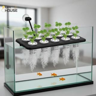 Bộ thủy canh công suất cao PlumHOUSE 10 / 30 / 50 Bộ xốp vuông để trồng cây hiệu quả VN